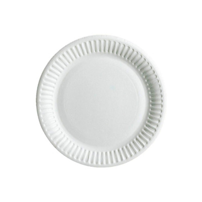 6 inch Paper Plate